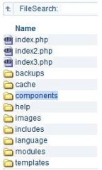 Website Design Hosting